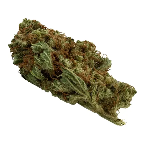 Lemon Haze