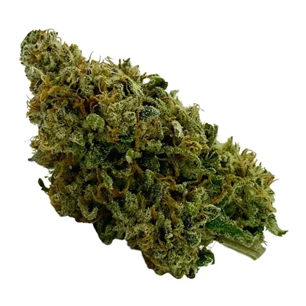 Product image for Lemon Haze, Cannabis Flower by Ritual Green