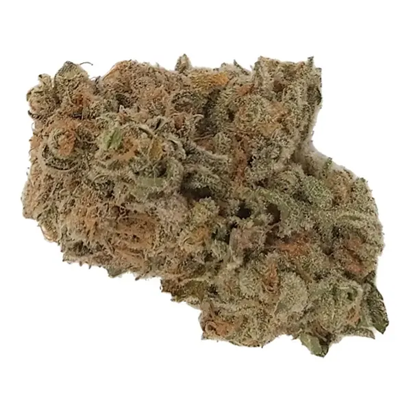 Product image for Lemon Pepper Spice, Cannabis Flower by Dykstra Greenhouses