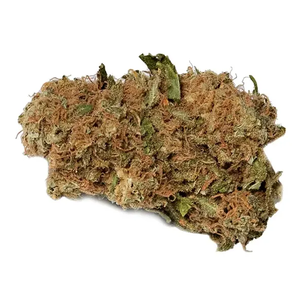 Bud image for Lemon Z, cannabis dried flower by Saturday