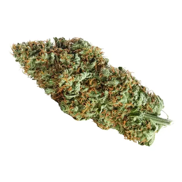 Bud image for Lilac Diesel, cannabis dried flower by Redecan