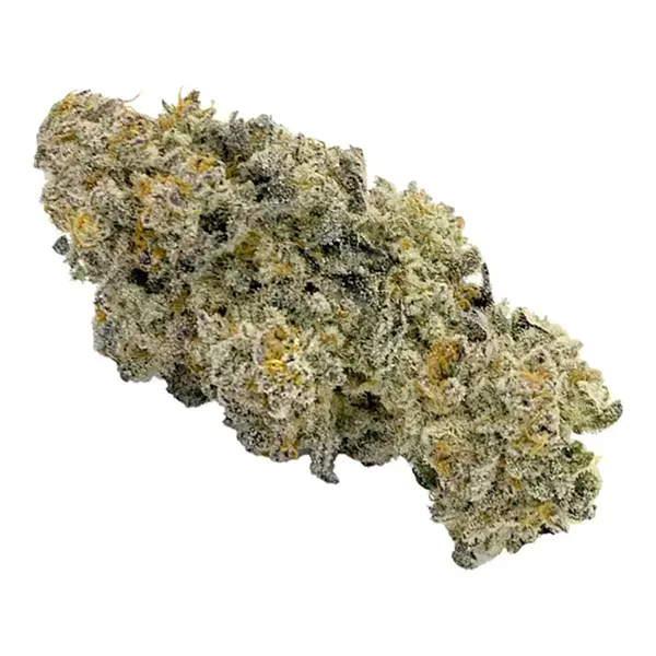 MacFlurry (Dried Flower) by BLKMKT