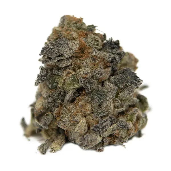 Bud image for Magic Mint, cannabis all categories by The Wild Florist