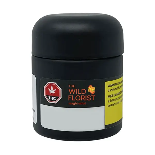 Magic Mint (Dried Flower) by The Wild Florist