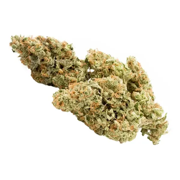 Mango Taffie (Dried Flower) by Good Buds