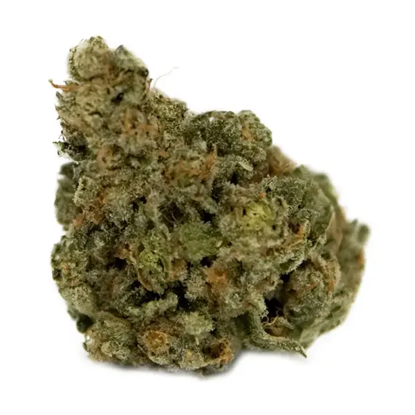 Bud image for Master Kush, cannabis dried flower by Panorama