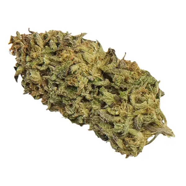 Product image for Mendo Breath, Cannabis Flower by Coterie