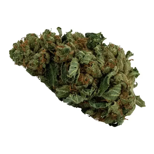 Bud image for MK Ultra, cannabis dried flower by Daily Special