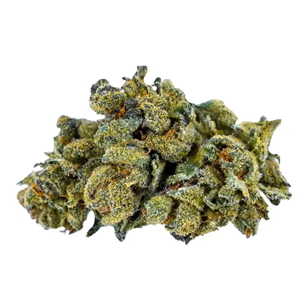 Bud image for Muskoka Kush, cannabis dried flower by Muskoka Grown