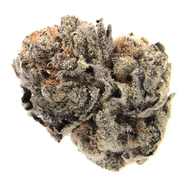 Nana Punch (Dried Flower) by Peers Cannabis