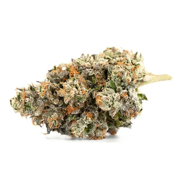 Product image for Nitro Cookies, Cannabis Flower by Organnicraft