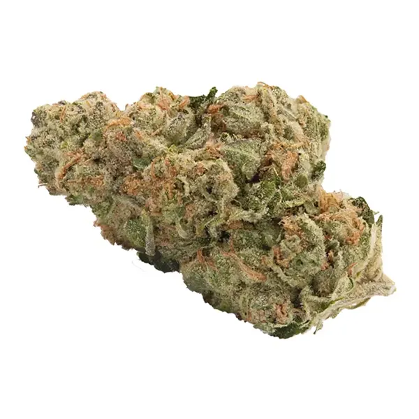 Bud image for No. 427 Retrograde, cannabis dried flower by Haven St. Premium Cannabis