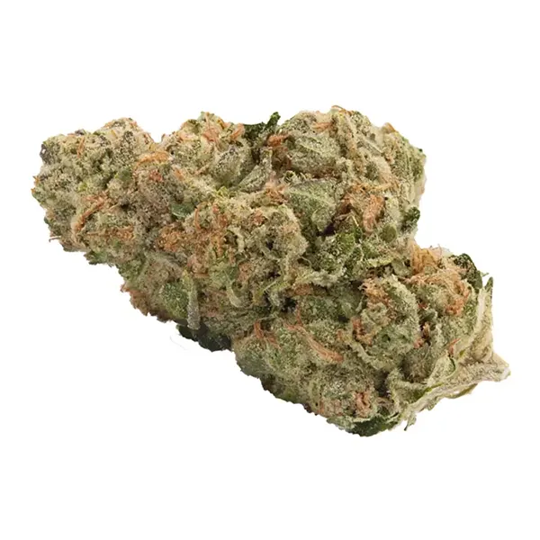 Bud image for No. 427 Retrograde, cannabis all categories by Haven St. Premium Cannabis