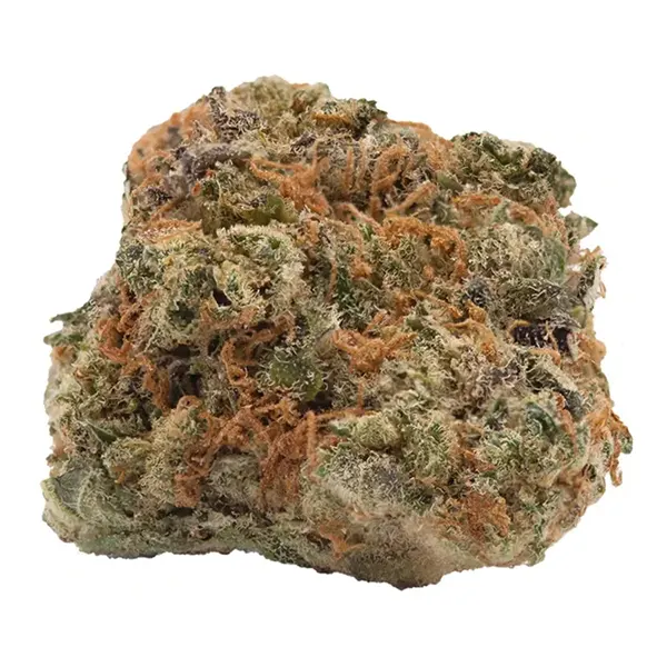 Bud image for No. 428 Secret Address, cannabis dried flower by Haven St. Premium Cannabis