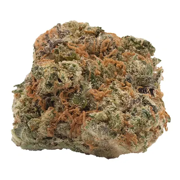 Product image for No. 428 Secret Address, Cannabis Flower by Haven St. Premium Cannabis