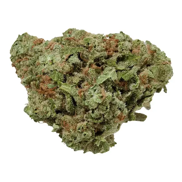 Bud image for Northern Berry UP20, cannabis dried flower by UP