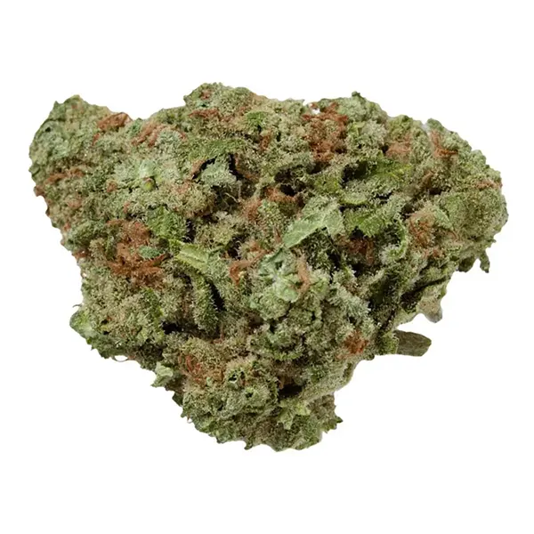 Northern Berry