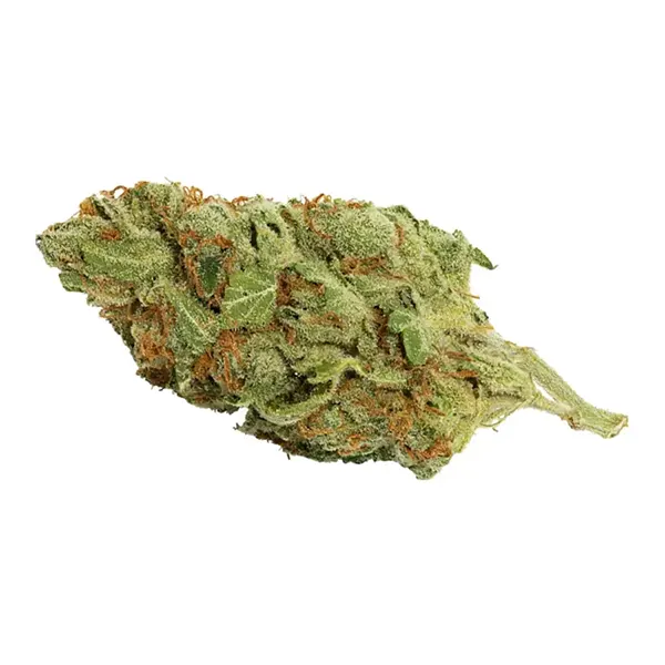 Bud image for OG Kush, cannabis dried flower by Queen West '94