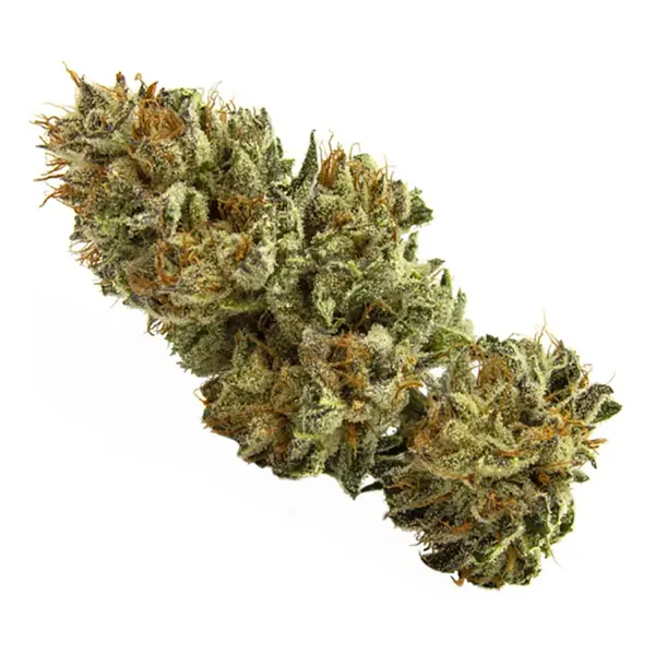 Bud image for Orange Monkey, cannabis all categories by LIIV