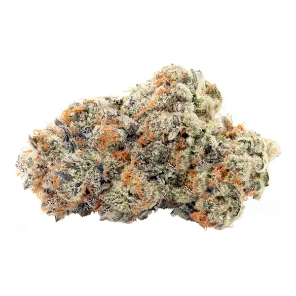 Product image for Orangeade, Cannabis Flower by Tenzo