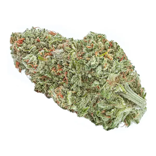 Bud image for Organic Sugar Bush, cannabis dried flower by TGOD