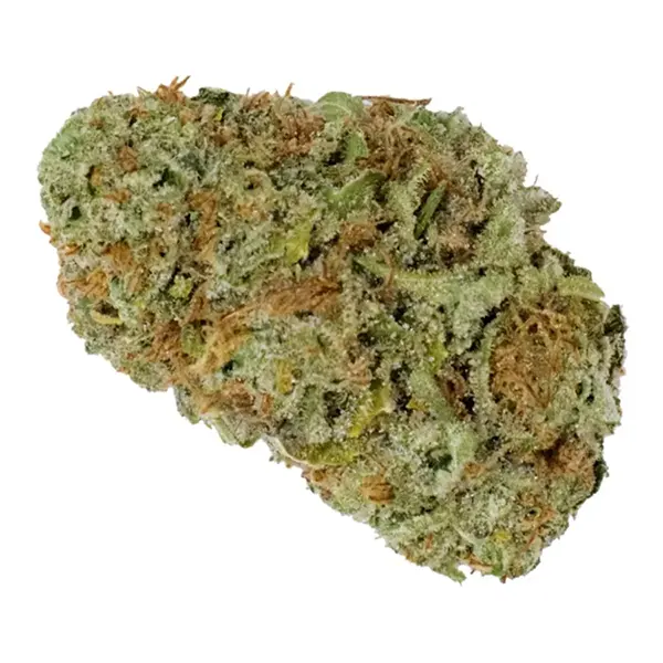 Bud image for Papaya, cannabis all categories by 7Acres