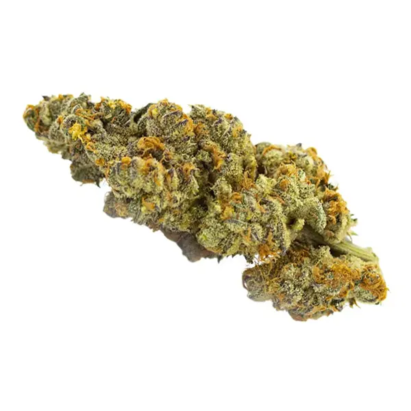 Bud image for Peanut Butter Breath, cannabis dried flower by Carmel