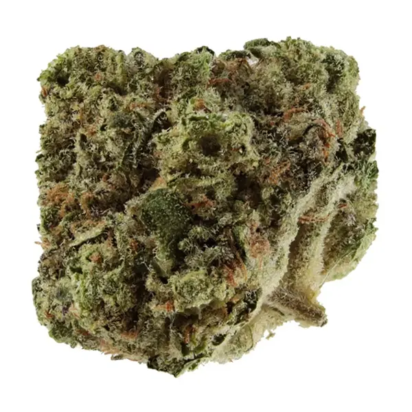 Bud image for Pink Cookies x Kush Mints, cannabis dried flower by Thumbs Up