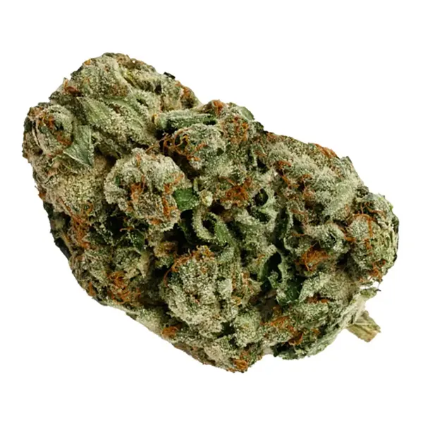 Bud image for Pink Krush, cannabis all categories by Favours