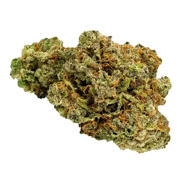 Bud image for Pink Vanilla OG, cannabis all categories by Muskoka Grown