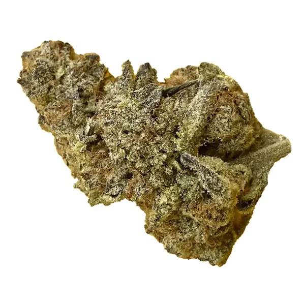 Bud image for Pizza Breath, cannabis dried flower by BOAZ