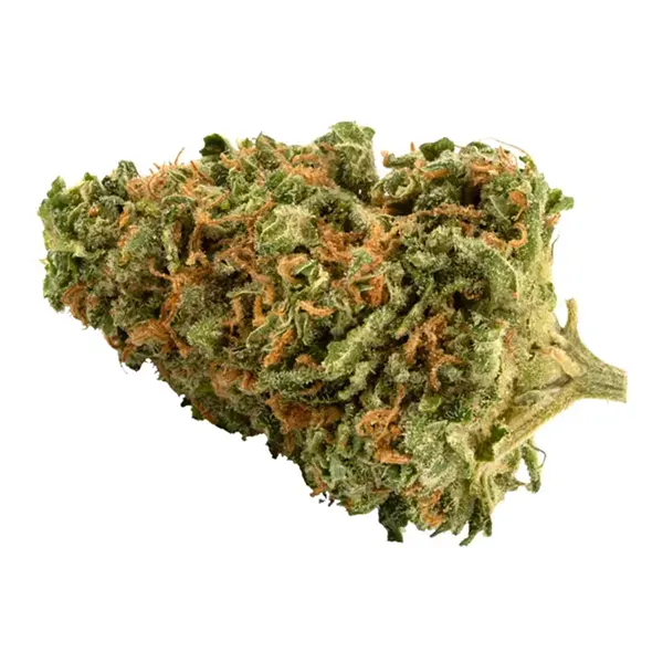 Bud image for Platinum Cookies, cannabis dried flower by Palmetto