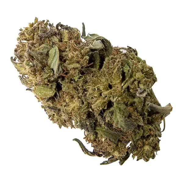 Bud image for Premium CBD Flower, cannabis dried flower by WholeHemp