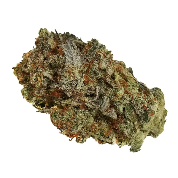 Bud image for Primal Punch, cannabis all categories by BOAZ