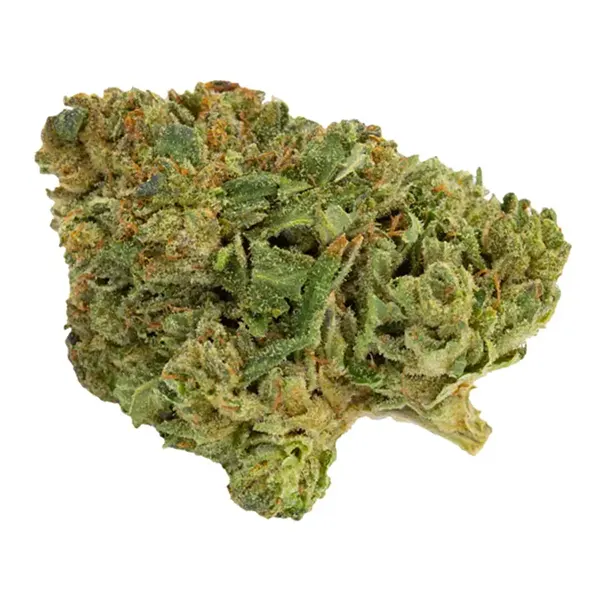 Bud image for Purps, cannabis all categories by Canaca