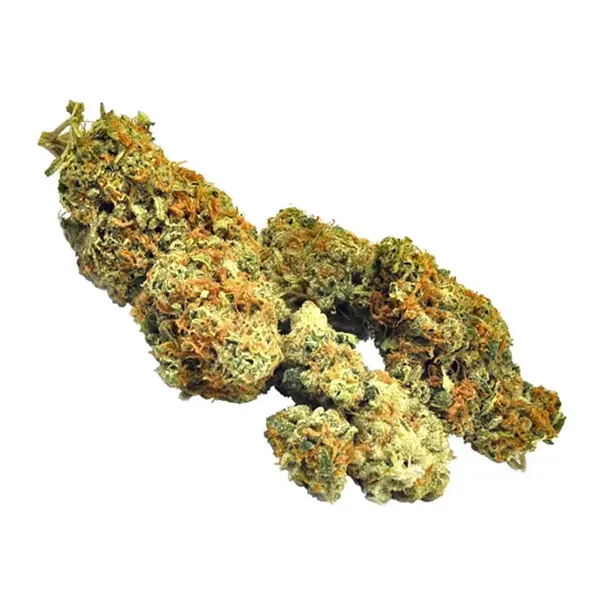 Product image for Raspberry Cough, Cannabis Flower by Strain Rec