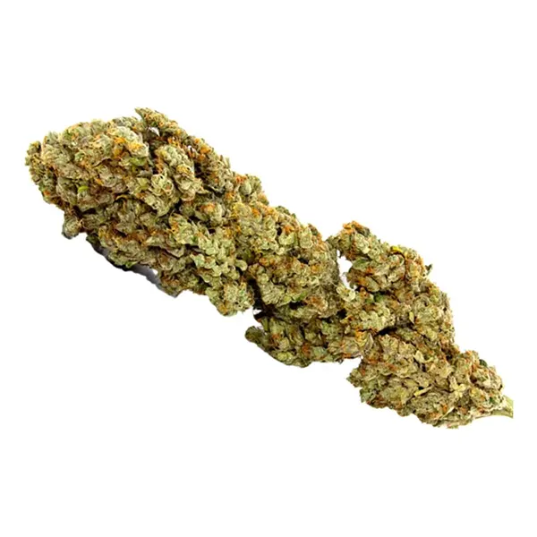 Bud image for RC Oz Cola Royal Goddess, cannabis all categories by Royal City Cannabis Co.