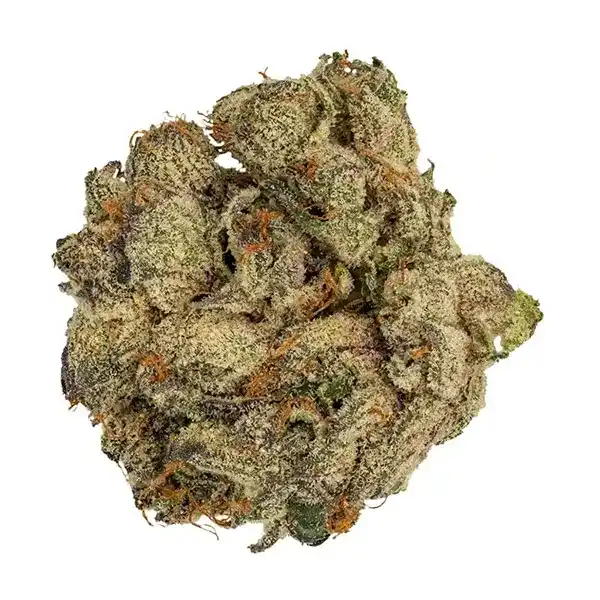 Bud image for Rockstar, cannabis all categories by Muskoka Grown