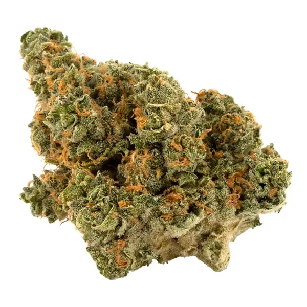 Bud image for Romulan, cannabis all categories by Palmetto