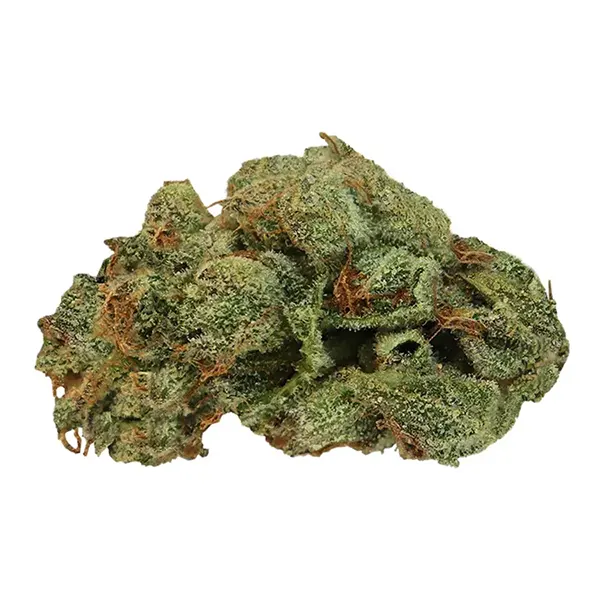 Bud image for Royal Dankness, cannabis dried flower by Tweed