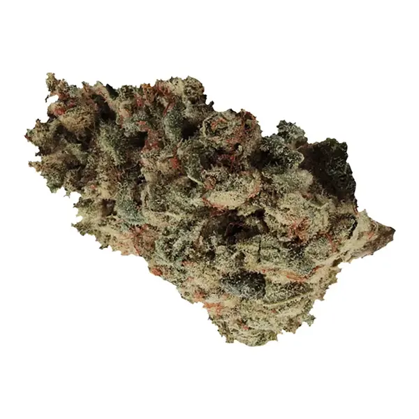 Bud image for Secret Formula, cannabis dried flower by Wink