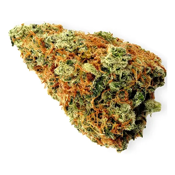 Bud image for Sensi Wizard, cannabis all categories by Highland Grow