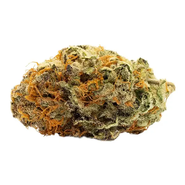 Sky Cuddler Double Kush (Dried Flower) by Reef Organic