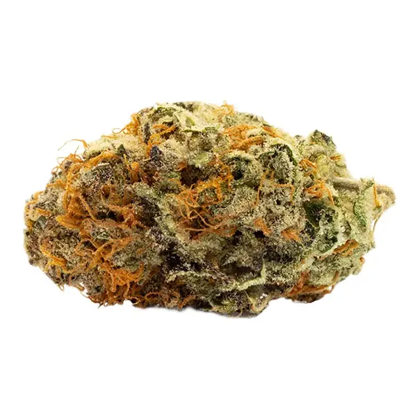 Bud image for Sky Cuddler Double Kush, cannabis dried flower by Reef Organic