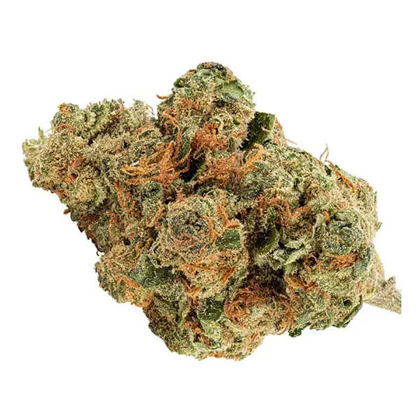 Bud image for Skyway Kush, cannabis all categories by Indi Cannabis