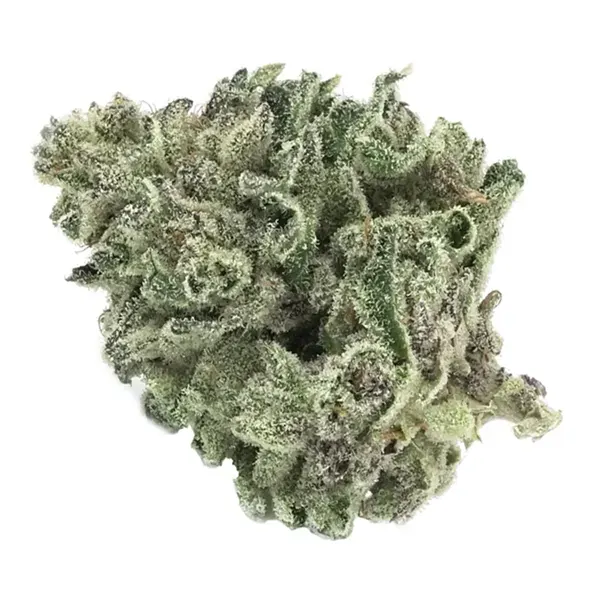 Bud image for Slurri Crasher, cannabis dried flower by Tantalus Labs