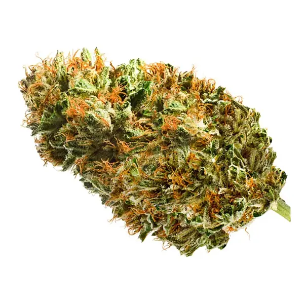 Bud image for Sour Diesel, cannabis dried flower by Redecan