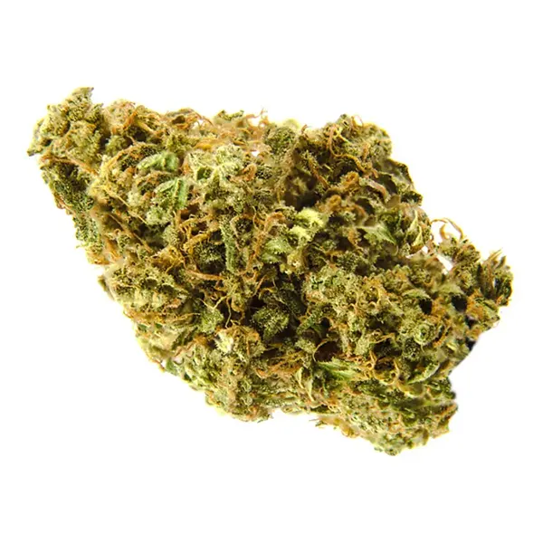 Bud image for Sour Kush, cannabis dried flower by Nith & Grand