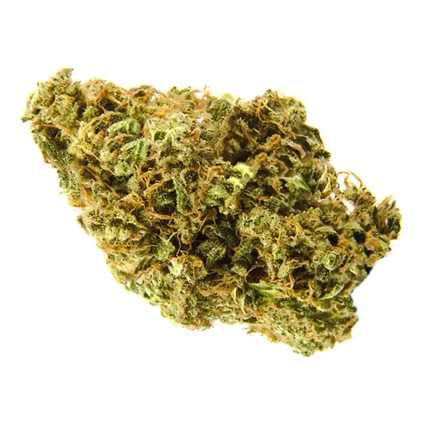 Bud image for Sour Kush, cannabis all categories by Nith & Grand