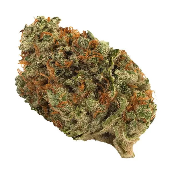 Bud image for Sour Kush, cannabis all categories by Doja